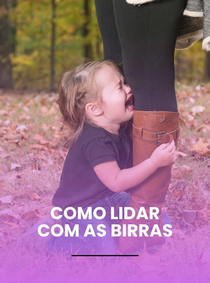 Capa dos Cursos (23)