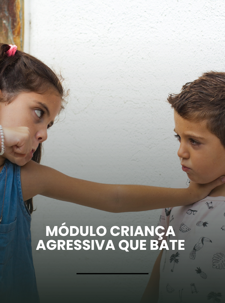 Capa dos Cursos (24)