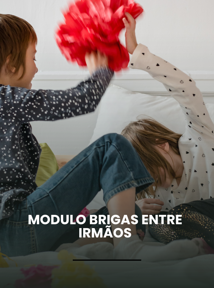 Capa dos Cursos (25)